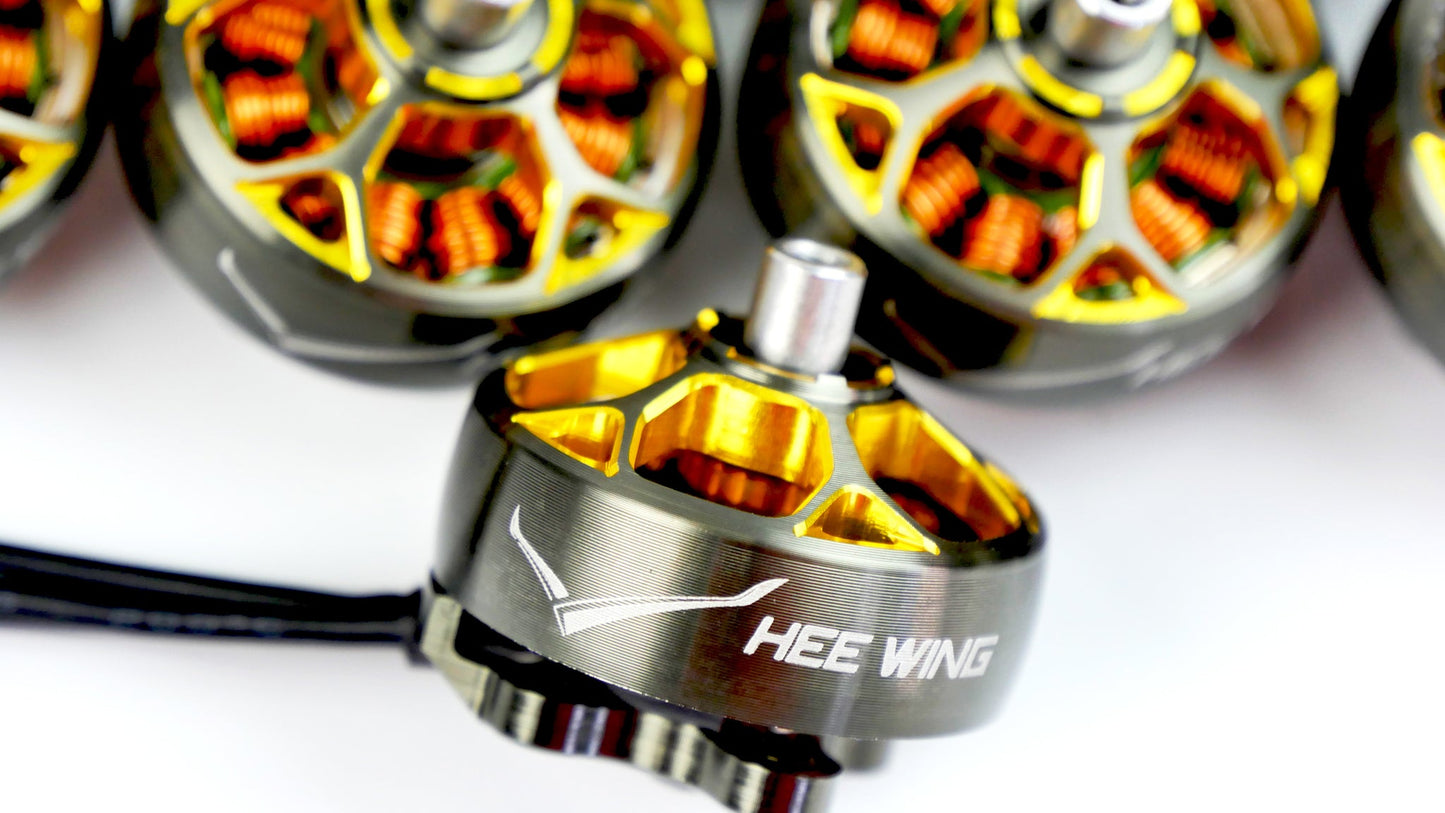 Hee Wing F01 FX-2205-2350 Motor